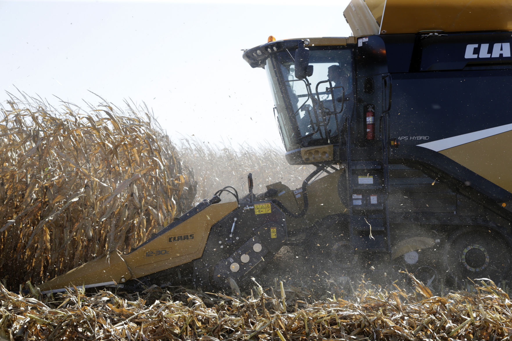 Harvest time